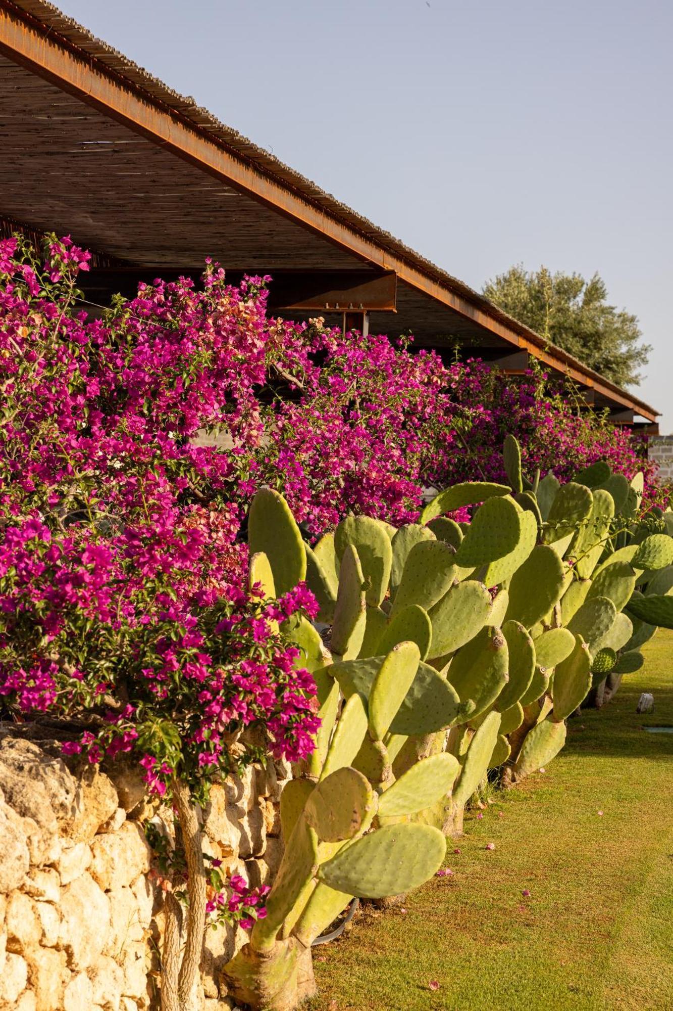 Masseria San Francesco Savelletri Exterior foto